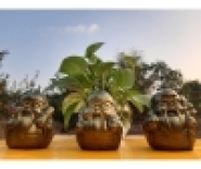  Tượng phong thủy là một trong những thành phần quan trọng trong nghệ thuật phong thủy.