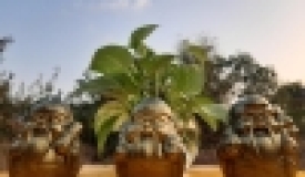  Tượng phong thủy là một trong những thành phần quan trọng trong nghệ thuật phong thủy.